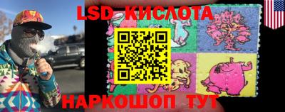 гидра Прохладный