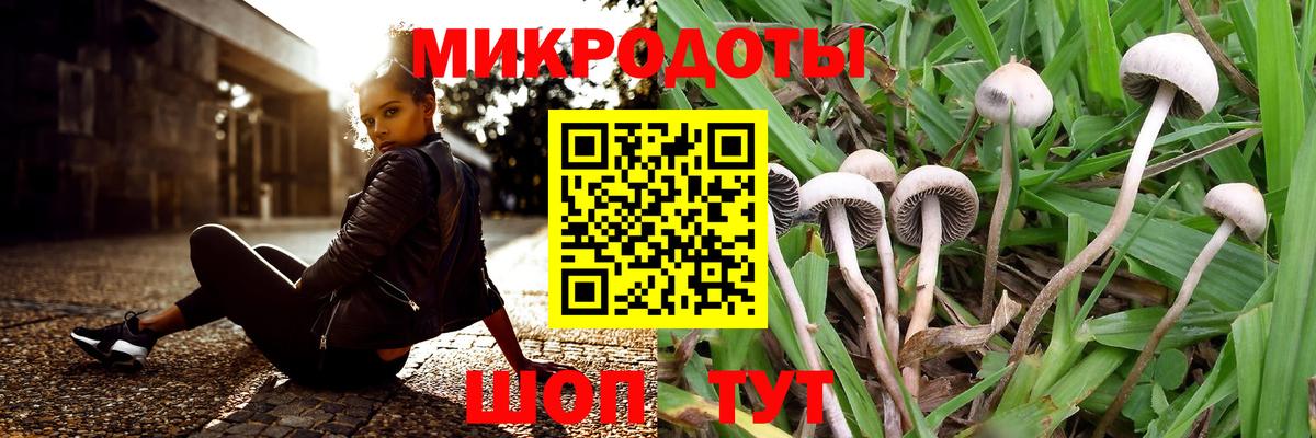 Котлас  Псилоцибиновые грибы Magic Shrooms  цены наркотик  Вход с VPN 